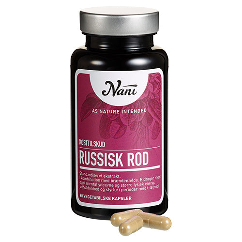 Rysk Rot