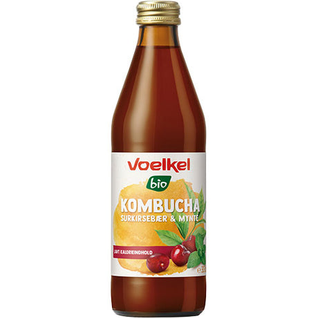 Kombucha Surkörsbär-Mynta EKO