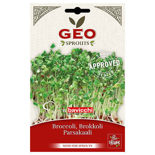 Broccoli Raab för groddning EKO