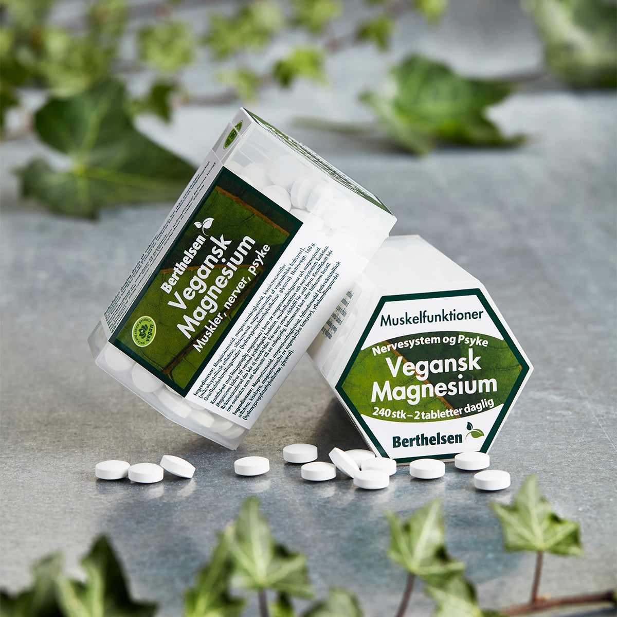 Magnesium vegansk