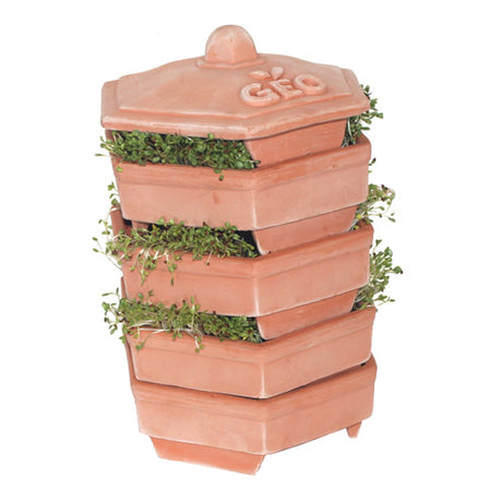 Groddkärl I Terracotta