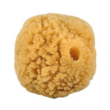 Natursvamp 10