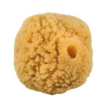 Croll & Denecke Natursvamp 10