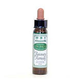 Recovery Remedy Engholm