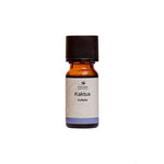 Fischer Pure Nature Kaktus doftolja | 10 ml