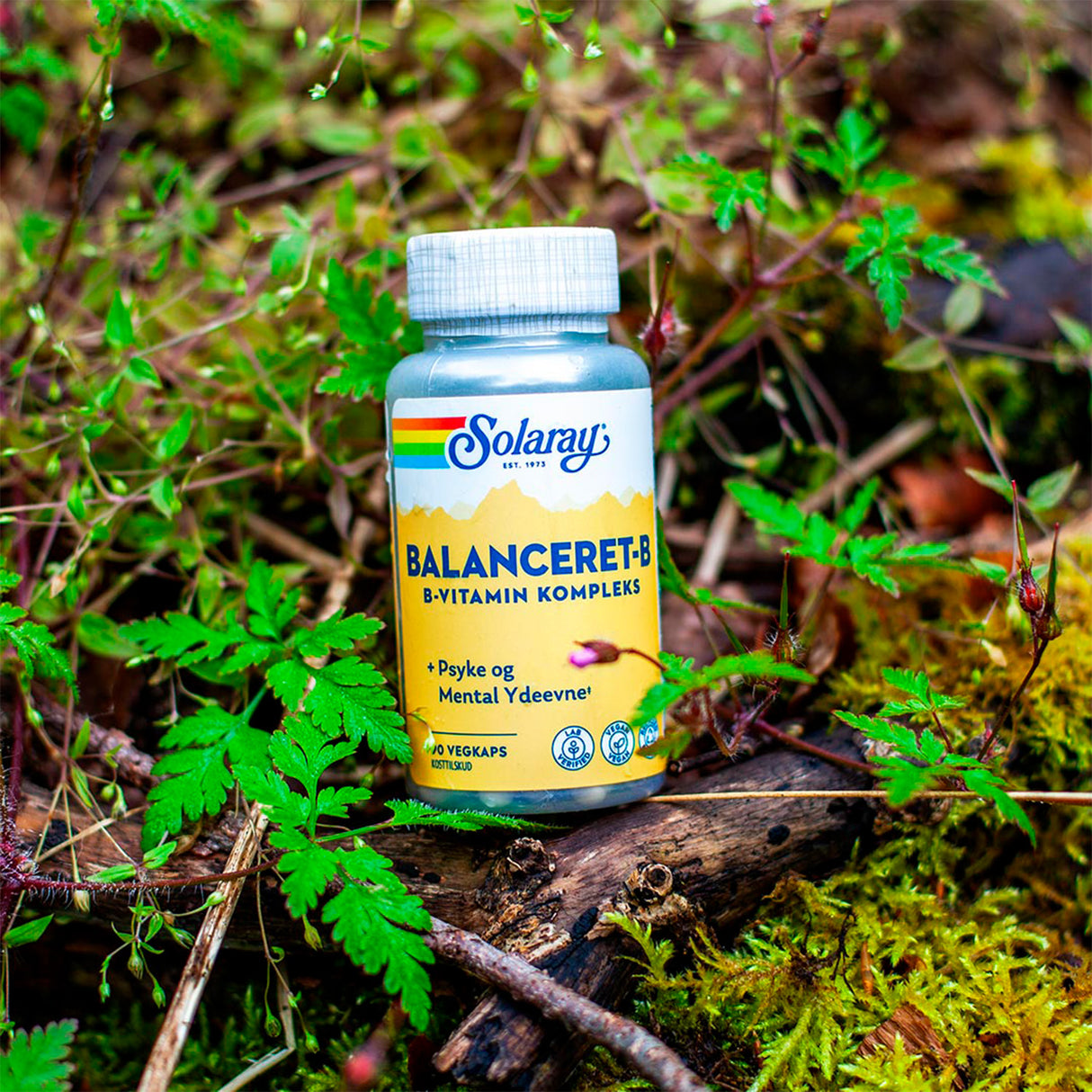 Balanceret-B Vitamin B