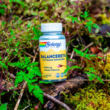 Balanceret-B Vitamin B