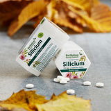 Silicium (Kisel)