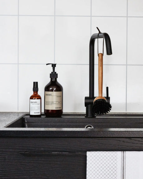 Dish Brush
