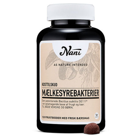 Mjölksyrabakterier