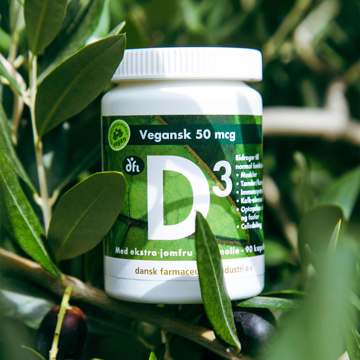 Vegansk D3
