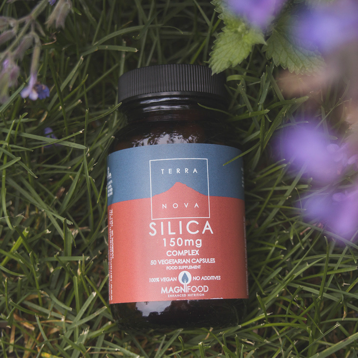 Silica Complex