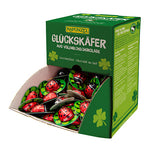 Rapunzel Mariehönans ljus choklad m. tryffelfyllning 4,7g EKO ca. 170 st | 800 g