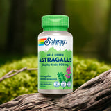 Astragalus