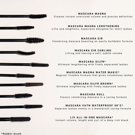 Mascara EIR Black 013