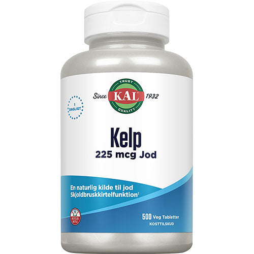 Kelp