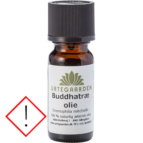 Buddhaträolja