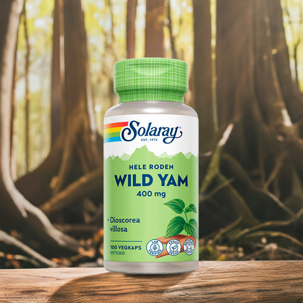Wild Yam Root