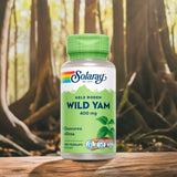 Wild Yam Root