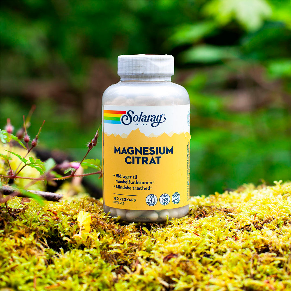Magnesium Citrat