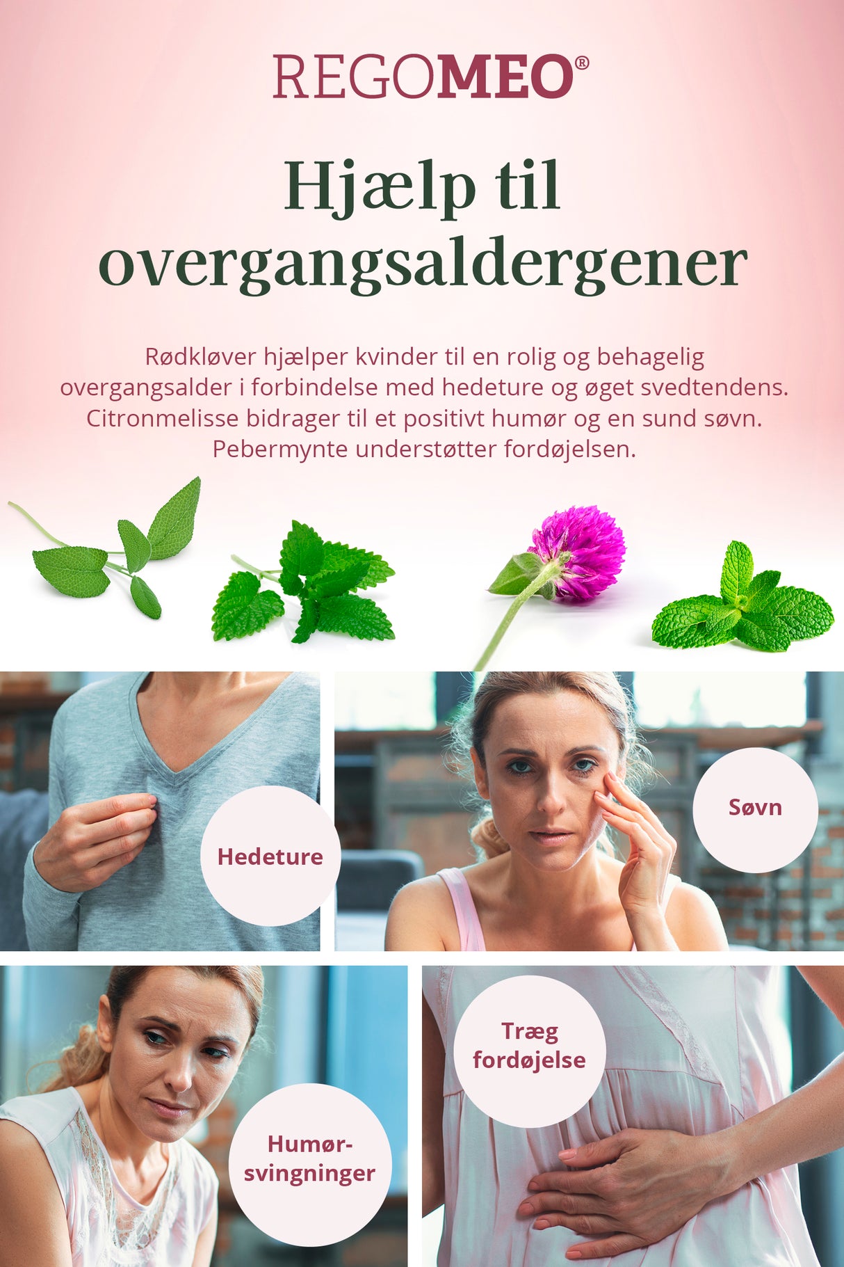 REGOMEO Rödklöverextrakt Ekologisk
