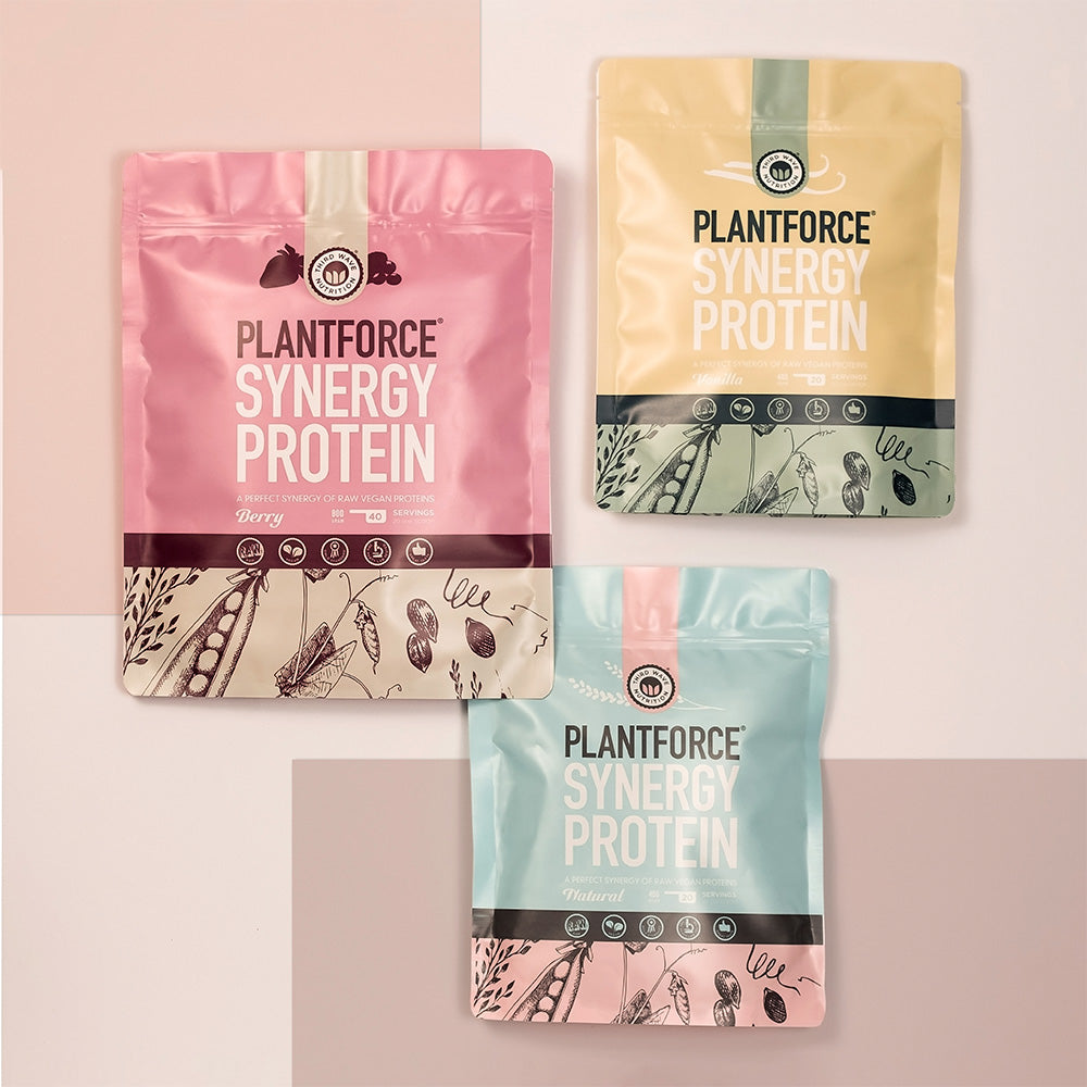 Vegan Protein Pulver Bär