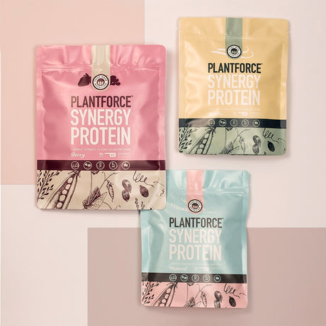 Vegan Protein Pulver Bär