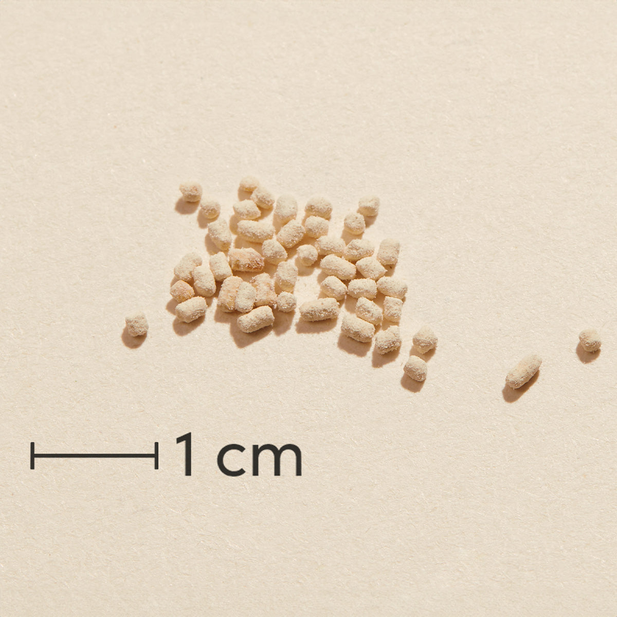 OmniOmega Lecithin