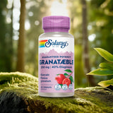 Granatäpple