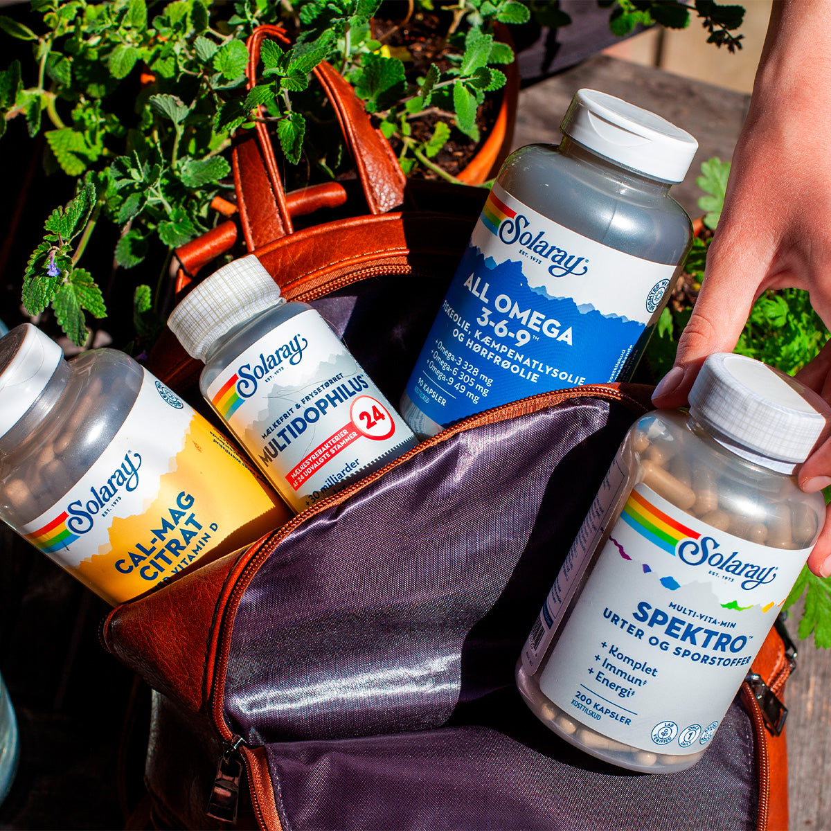 All Omega 3-6-9