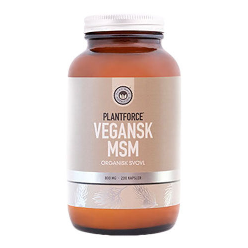 Msm 1000 Mg