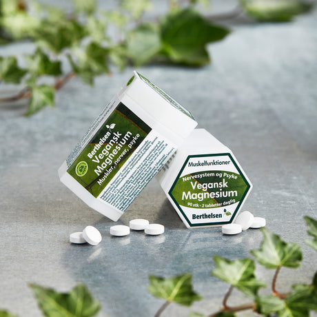 Magnesium vegansk
