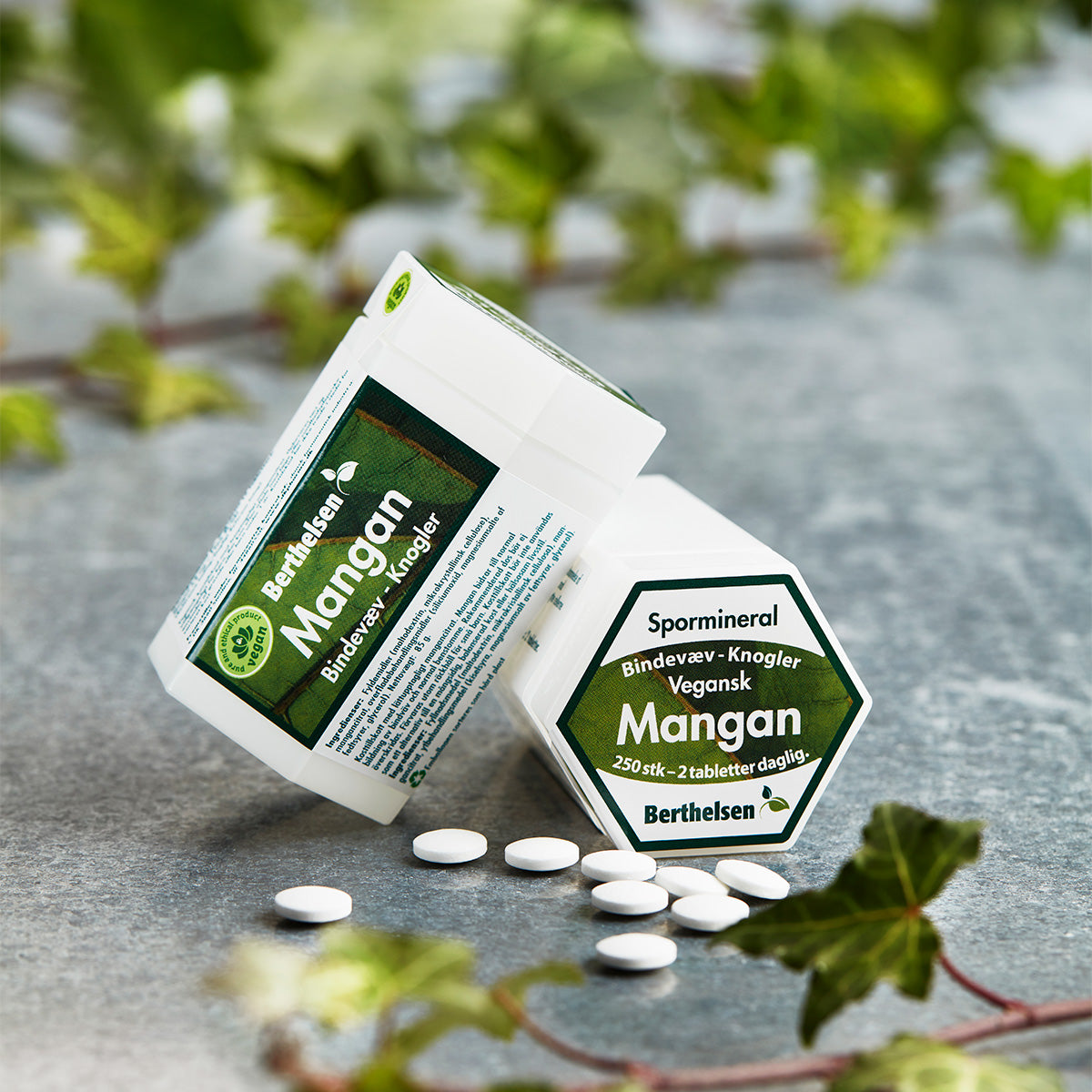 Mangan 3