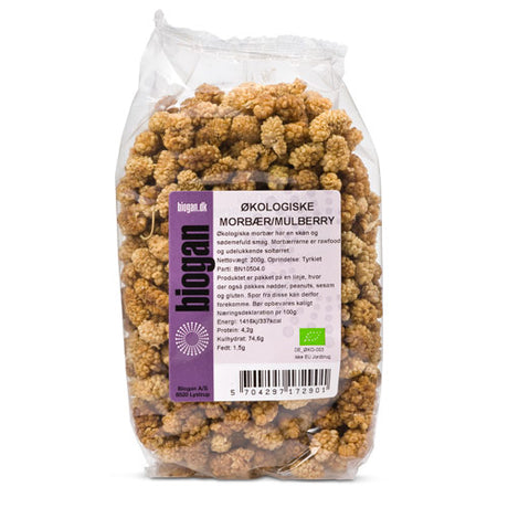 Mulberry Rawfood Eko