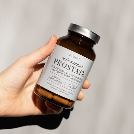 NORDBO Male Support Prostate | 120 kapslar