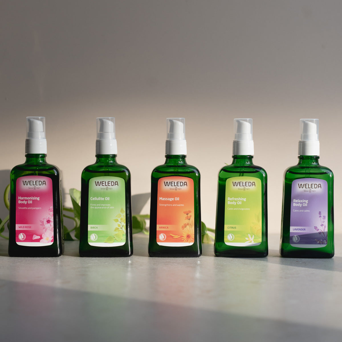 Lavender Relaxing Body Oil