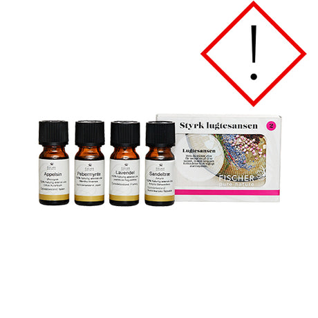 Stärk Luktsinnet Kit 2, 4 X10 ml Eteriska Oljor Apelsin EKO, Pepparmynta, Lavendel, Sandelträ