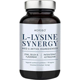 Nordbo L-Lysine Synergy | 90 kapslar