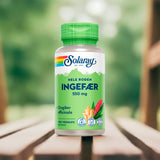 Ingefärsrot