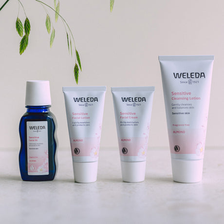 Mandel Fuktlotion