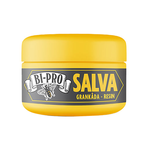 Salva
