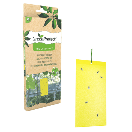 GreenProtect Gula Insektsfällor