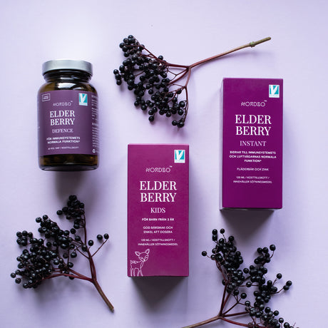 Elderberry Instant