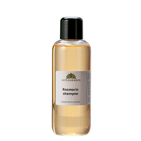 Rosmarinschampo