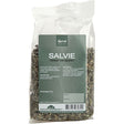 Salvia