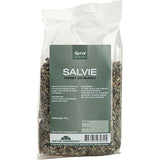 Salvia