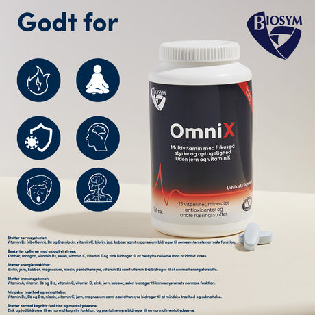 OmniX