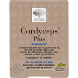 Cordyceps Plus