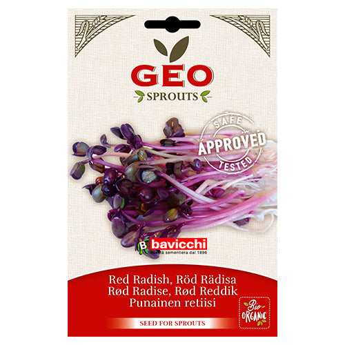 Bavicchi Geo Rädisfrö Groddning Eko