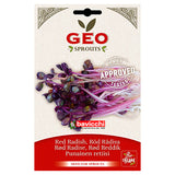 Bavicchi Geo Rädisfrö Groddning Eko